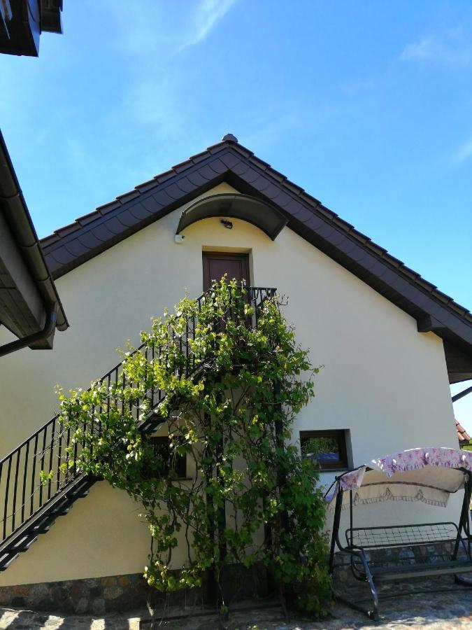 Sloneczne Zacisze Apartment Wicko  Exterior photo